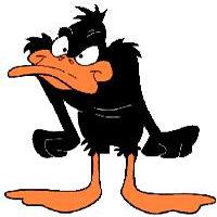 The Duck